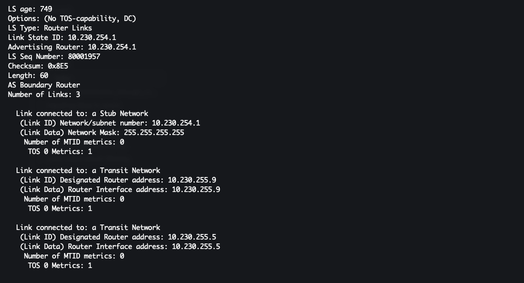 output from show ip ospf database router